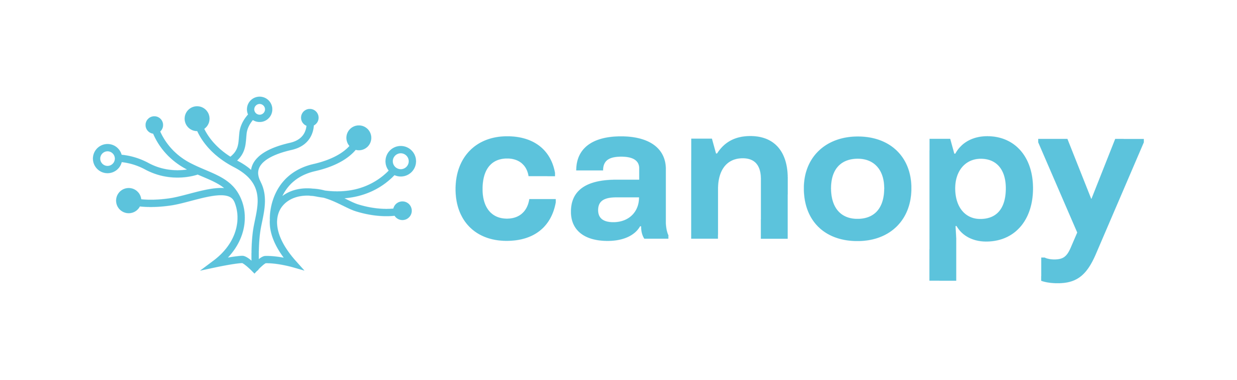Logo Liggend Canopy DEF RGB